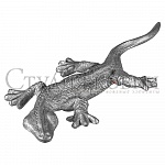 SK20.14.1 Ящерица